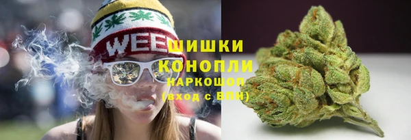 прущие грибы Белоозёрский