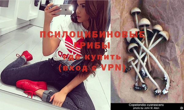 MDMA Premium VHQ Медвежьегорск