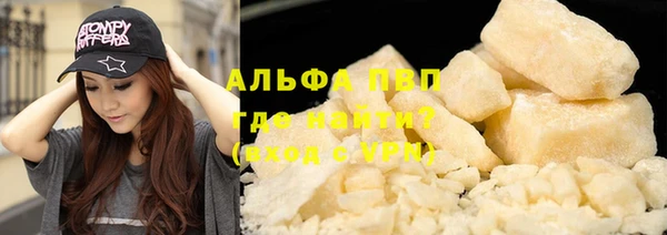 прущие грибы Белоозёрский