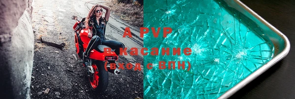 прущие грибы Белоозёрский