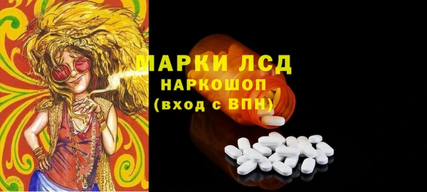 прущие грибы Белоозёрский