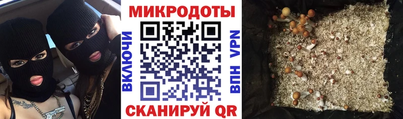 Псилоцибиновые грибы ЛСД магазин наркотиков Михайлов